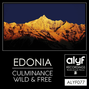 Culminance (Original Mix)