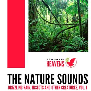 Slewed Midday Mountain