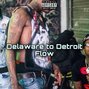 Delaware to Detriot Flow