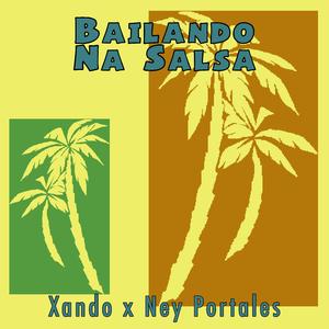 Bailando Na Salsa (feat. Ney Portales)