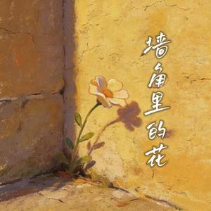 墙角里的花 (Cover 项睿娴)