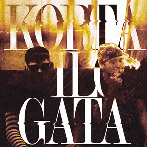 Korta Filo Gata