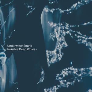 Invisible Deep Whales I