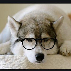 小池溪水噜噜 (3)