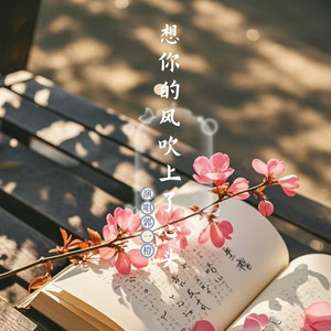 想你的风吹上了心头