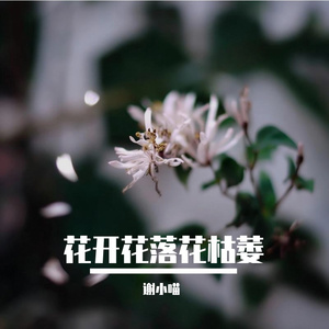 花开花落花枯萎