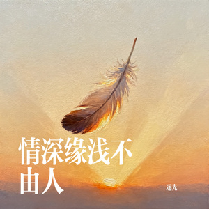 情深缘浅不由人