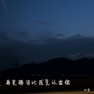 再见眼泪比我先认出你