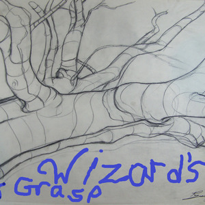 Bowdeferance Girl With Her Twirl