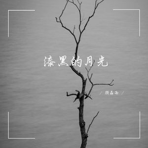 漆黑的月光 (1.1X版)