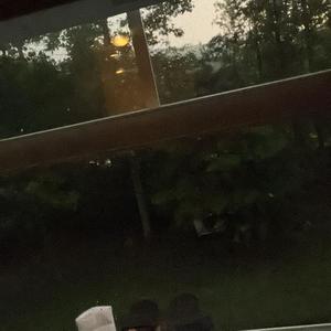 If I Really Wanna I Will