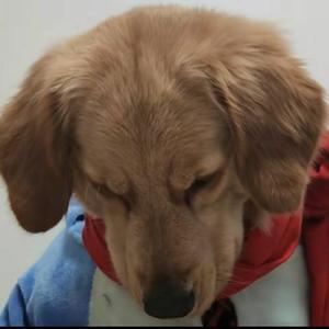 该怎样和你告别