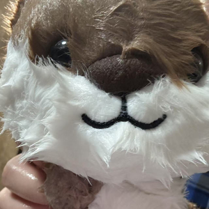 失去后依然自由