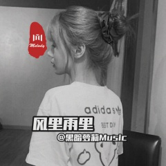 天差地别 (DJ版)