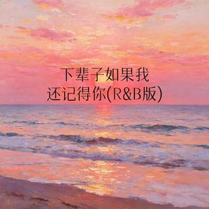 下辈子如果我还记得你 (R&B版)