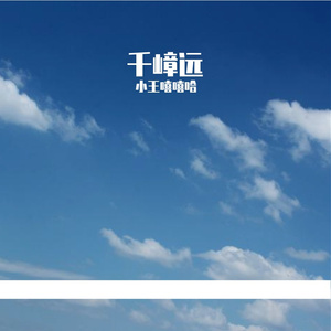 被风揉碎的温柔