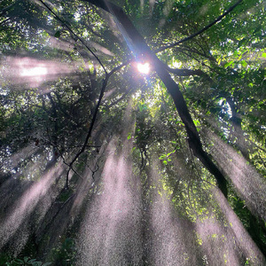 Insane day（prod.byAISH）