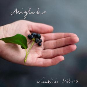 Vidinio kario šokis