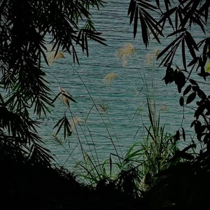 若太阳不再升起