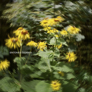 SINTONIA ÉSDANSA 01