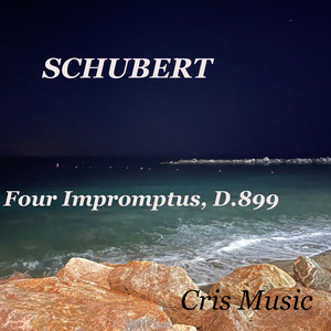 4 Impromptus, D.899: 3. Andante