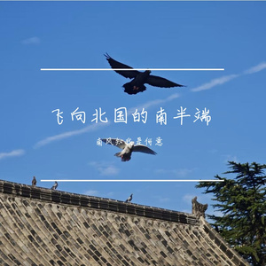 清风与你