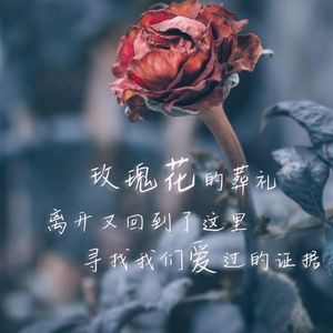 玫瑰爱人_歌手杨进