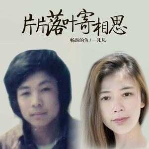 片片落叶寄相思