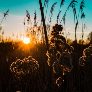 米津玄師-地球仪（十人双声道混响）