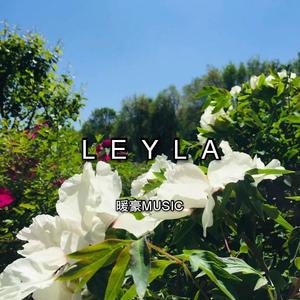 Mesto-Leyla（暖豪Music Remix）