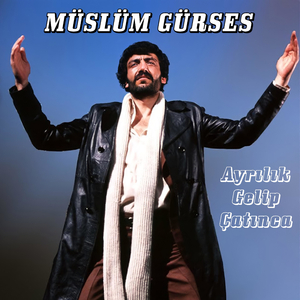 Ayrılık Gelip Çatınca