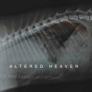 Altered Heaven