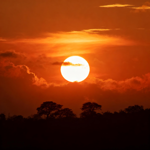 假如晚点遇见你