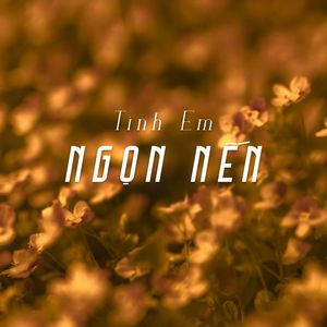 Tình Em Ngọn Nến