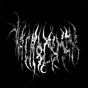 Hydrachnid