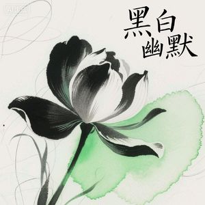 黑白幽灵