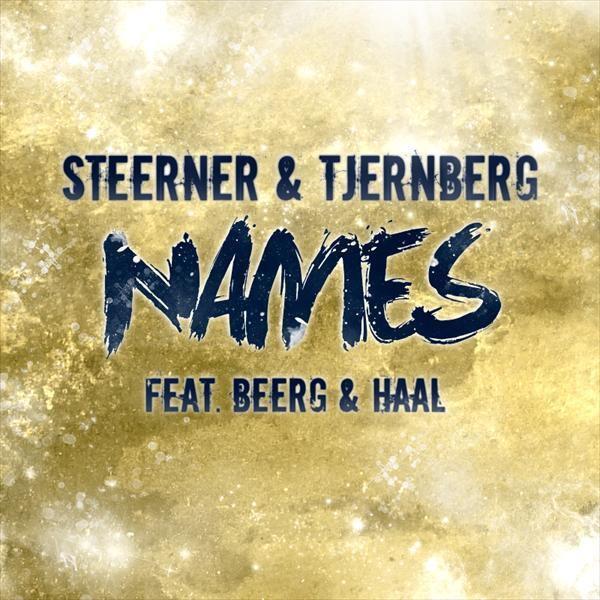 names(original mix) - steerner/tjernberg/beerg & haal - 网易云