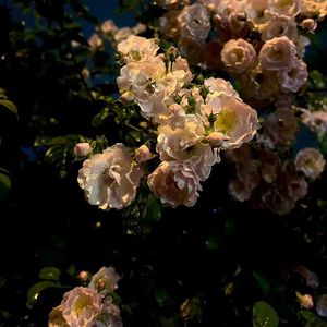 【Free】"Rain“——R&B Beat