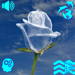 //◭// シ CLOUDZ //◭//