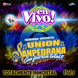Fuerza Total de Cumbias 4: Nadie Sabe Lo Que Tiene / Palabras Tristes (En Vivo)