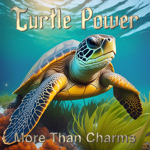 Turtle Power