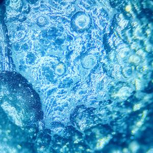 【FREE】LightMyWrist