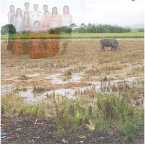 Mi Siblings (Before the Morning Sun)