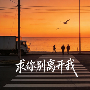 求你别离开我(海屿你)
