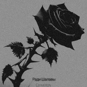 Ради Шалавы