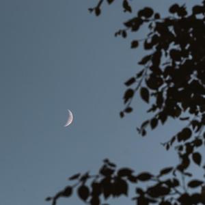 伤四月（cover:G_O_Y_)