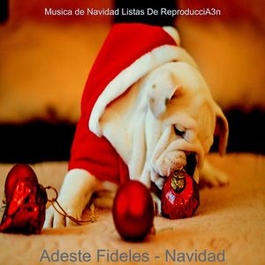 Navidad 2020 - Adornen los Salones