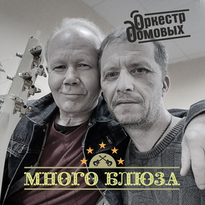 Много блюза