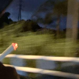 异客(prod.Eric Godlow)