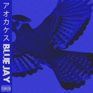 Blue Jay (feat. lil mak & N0AH LLOYD)